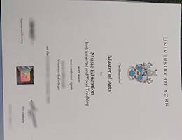 University of York Novelty Credentials