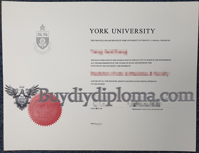 Novelty York University Credentials