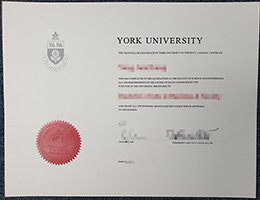 Novelty York University Credentials, Get York University Credentials,