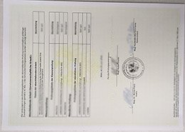 Novelty BRG and BORG Dornbirn-Schoren Academic record, Novelty Austria Academic record, Novelty Austria Credentials,