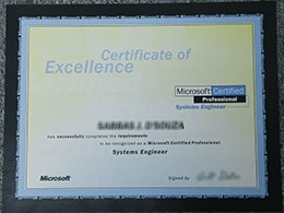 Credentials Of Excellence