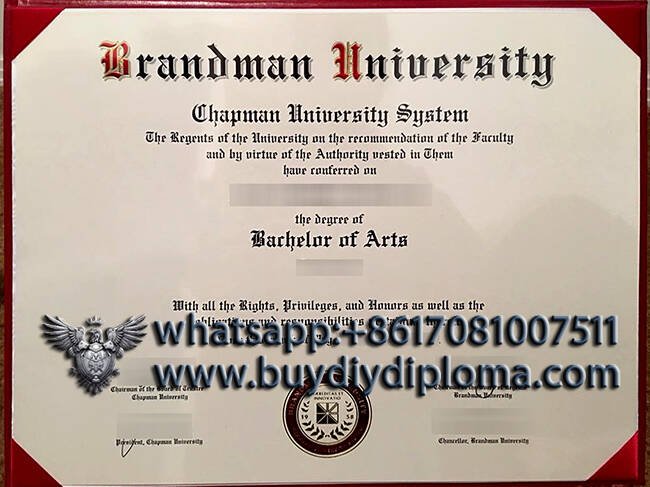 Novelty Brandman University Credentials in USA