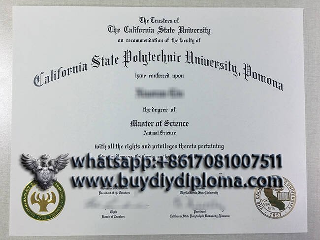 Copy a California state polytechnic university Pomona Novelty Credentials