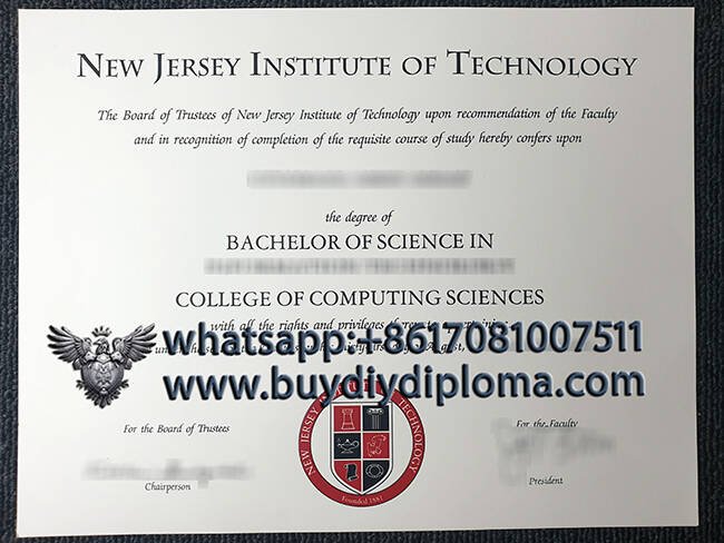 Novelty NEW ERSEY INSTITUTE OF TECHNOLOGY Credentials