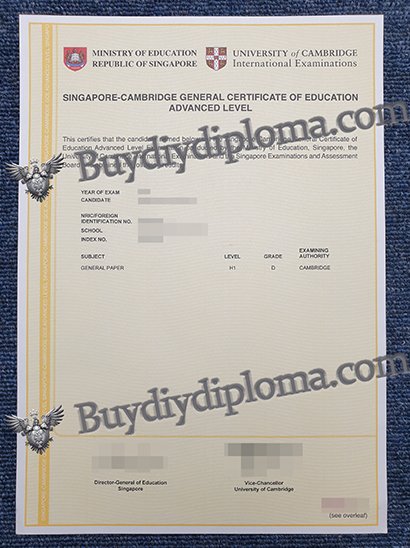 Novelty SINGAPORE-CAMBRIDGE GENERAL Credentials OF EDUCATIONADVANCED LEVEL Credentials