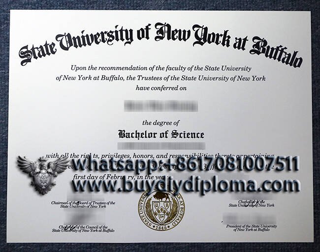 Request State University of new york at buffalo Novelty Credentials Online