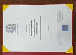 Novelty TEESSIDE UNIVERSITY Qualification