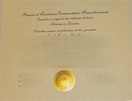 princeton university Qualification sample