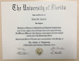 university of florida Credentials