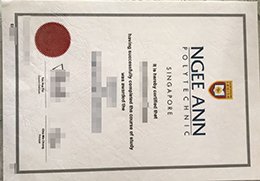 Ngee Ann Polytechnic Credentials
