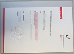 University of Bern Credentials