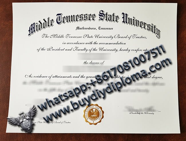 Middle Tennessee State University Credentials