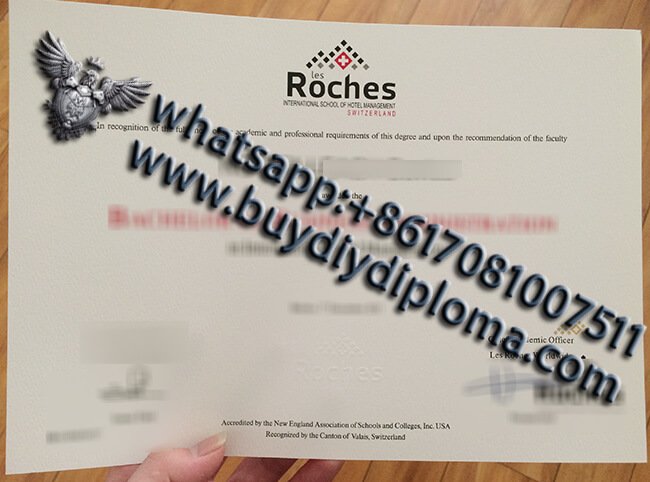 Where to Get Novelty Credentials in Switzerland?harvard Credentials novelty Qualification Credentials Novelty mba Qualification harvard college Academic record