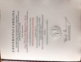 universitas carolina Credentials