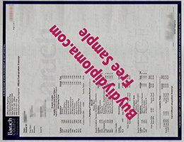 Baruch-College-Actual-Match-Academic record-Free-Sample-from-BuydiyDiploma.com