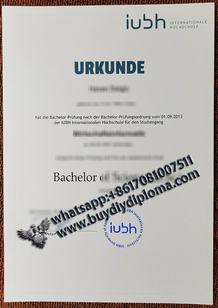  IUBH Credentials 