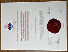 university of the free state Credentials