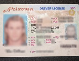AZ-FRONT-Novelty-ID-SAMPLE