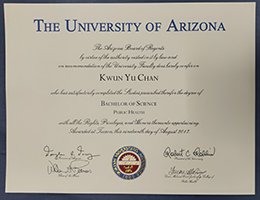 Novelty-Credentials-of-university-of-arizona