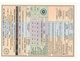 Novelty High Second Credentials Academic record