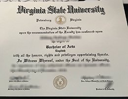 VSU Credentials, Novelty VSU Qualification