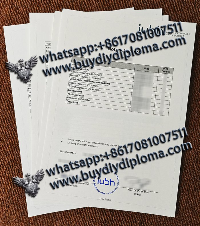 Novelty IUBH Academic record