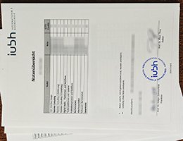 Novelty IUBH Academic record