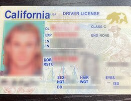 California Novelty Scannable DRIVER LICENSE USA