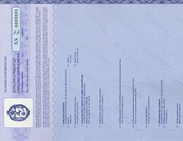 Vilniaus-universitetas-Academic record