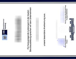 Hamburg Chamber of Commerce Credentials