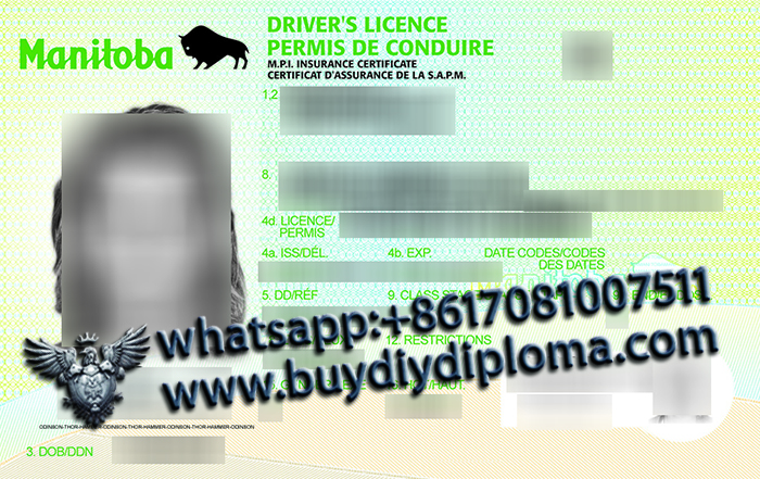 Manitoba Scannable Drivers License Manitoba Scannable Drivers License