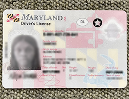 Maryland Driver license