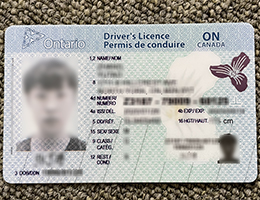 Ontario Driver Licese