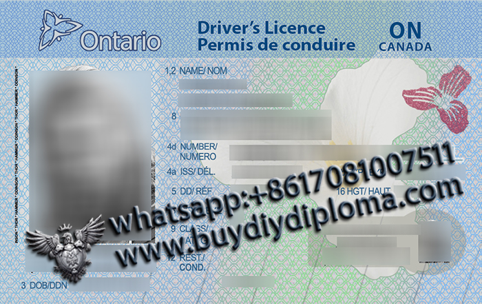 Ontario (ON) Scannable drivers license Ontario (ON) Scannable drivers license