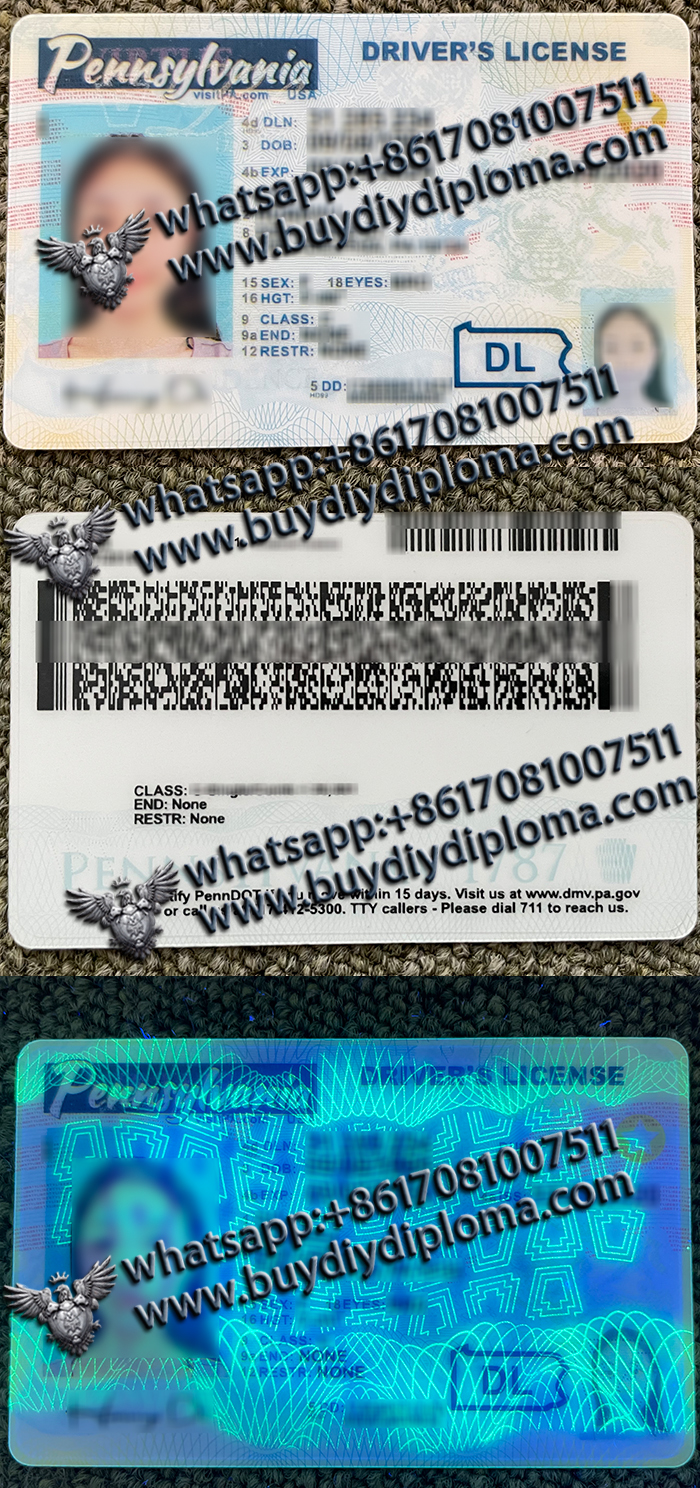 Pennsylvania Driver License Pennsylvania Driver License