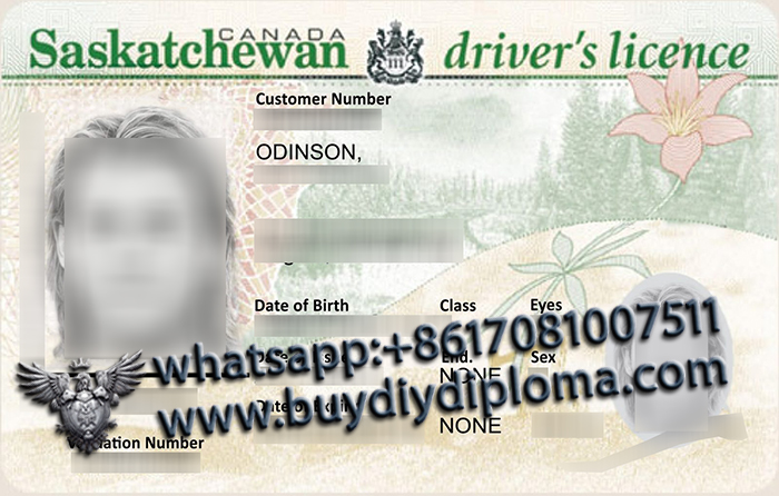 Saskatchewan Scannable Driver License Reproduction