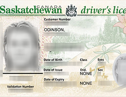 Saskatchewan Scannable Driver License Reproduction