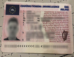 Ireland Driver License