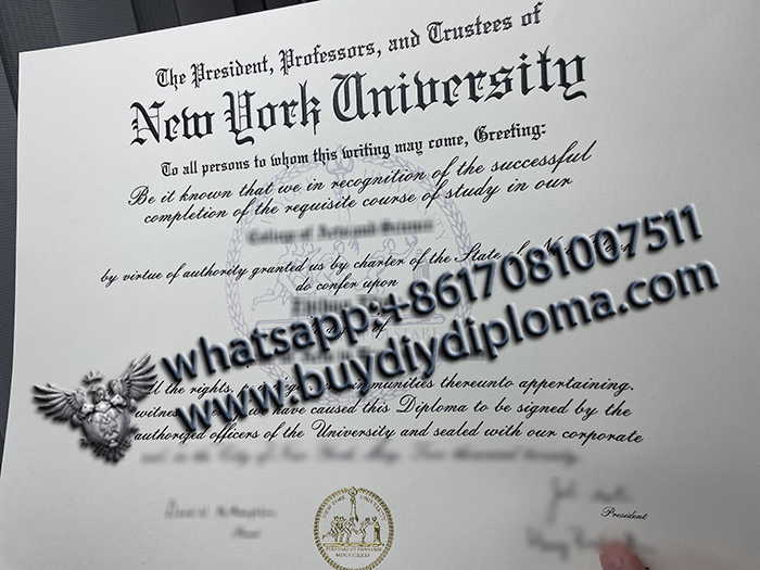 New York University Qualification