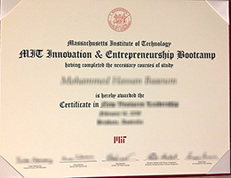Massachusetts Institute of Technology (MIT) Credentials