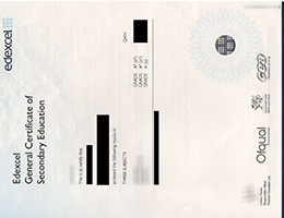 Pearson Edexcel GCSE Credentials