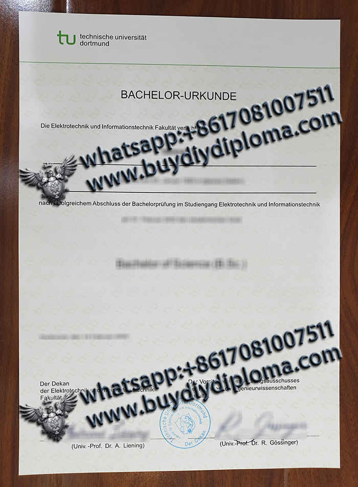 Technical University of Dortmund Credentials