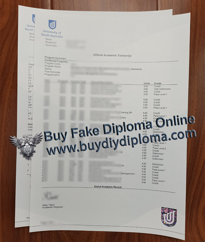 University of South Australia Academic record