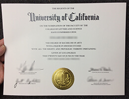 UCLA Credentials, Get Novelty UCLA Qualification, UCLA Academic record.