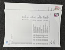 University of South Australia Academic record