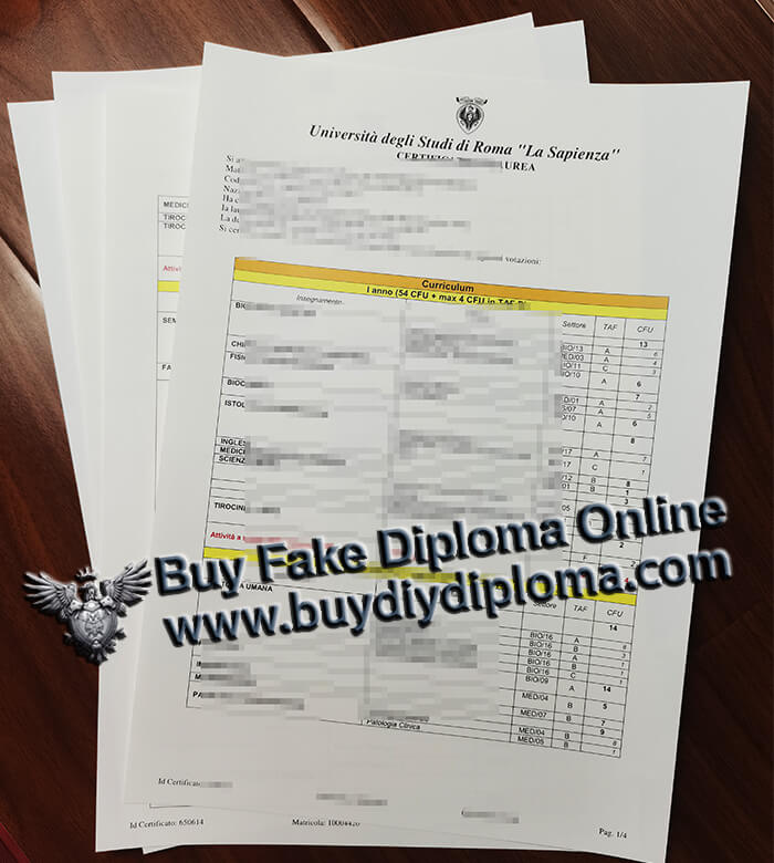 Sapienza – Università di Roma Academic record