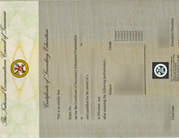 National Examinations Council of Tanzania Credentials