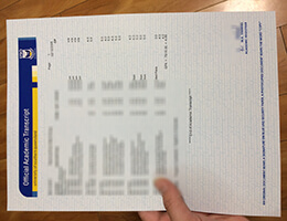 University of Southern Queensland Academic record