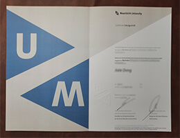 Maastricht University Credentials