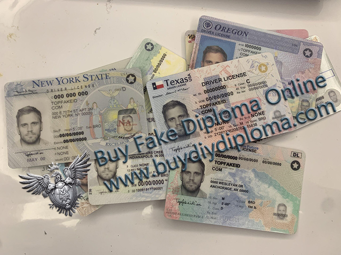 Novelty Driver's License